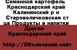 Семенной картофель - Краснодарский край, Калининский р-н, Старовеличковская ст-ца Продукты и напитки » Другое   . Краснодарский край